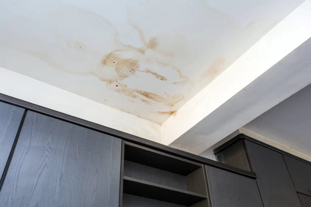 Ceiling Water Stains